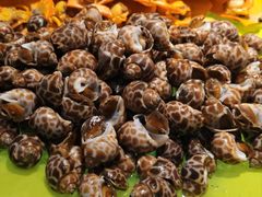 -海纳百川(义乌店)