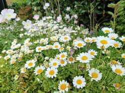 -Oasis Beauty水磨坊科技美肤中心