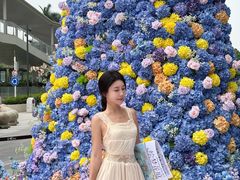 -民盈·国贸城