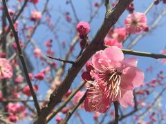 -木塔寺遗址生态公园