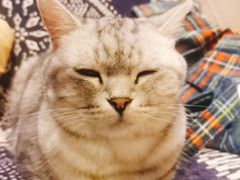 -平行世界·猫咖(首经贸店)