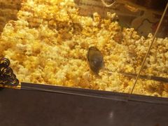 -渝宗老灶火锅(时代天街店)