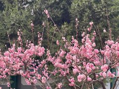 -北海公园