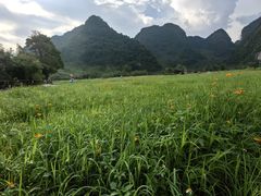 -靖西鹅泉风景区