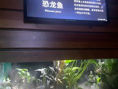 -太平洋海底世界