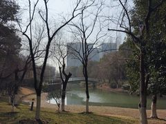 -桐乡植物园
