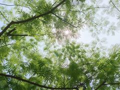 -红螺寺