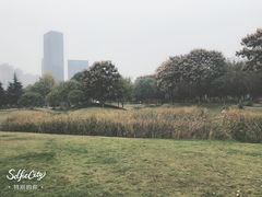 -后襄河公园