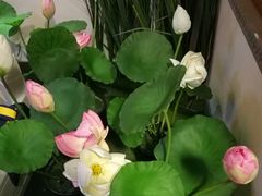 -芦月轩羊蝎子(劲松店)