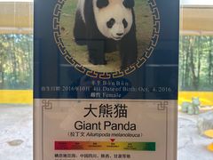 -杭州野生动物世界