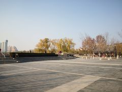 -莲花池公园