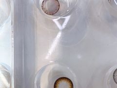 -miomi米欧米美瞳隐形眼镜(新世界大丸百货店)