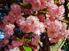 -大兴滨河森林公园