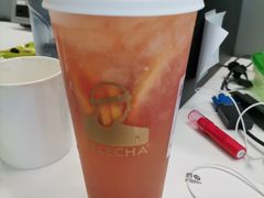 多肉红西柚-LELECHA乐乐茶(美罗城店)