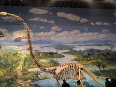 -自贡恐龙博物馆