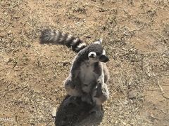 -秦皇岛野生动物园