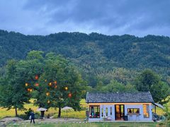 -塔川景区