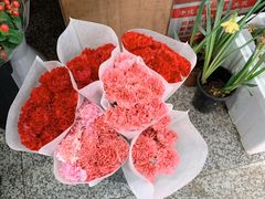-朝内南小街菜市场