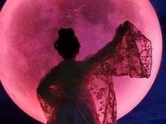 -天津梵高星空艺术馆(天河城旗舰店)