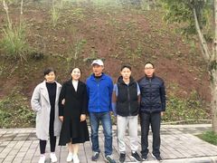 -乔森驾校(杨家坪总校)