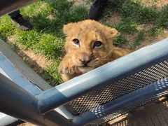 -大连森林动物园