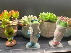 -懒人盐府人家(航天桥店)