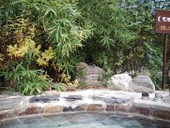 -中家鑫园温泉酒店鑫悦汤泉