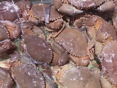 -Isla Sugbu Seafood City