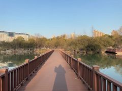 -青枫公园