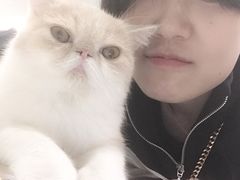 -飞行喵MR PILOT|猫舍·猫咖(静安大融城店)