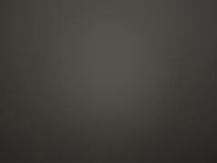 -大商麦凯乐(大连总店)