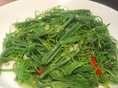 -一坐一忘云南菜(三里屯店)