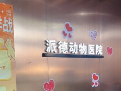 -pd派德宠物中心医院24H急重症·眼科中心·血液透析中心(嵩山北路店)