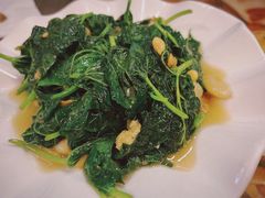 炒红薯叶-盛中钰广味小馆