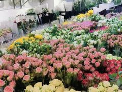 -溪岸路花鸟市场