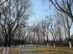 -西安浐灞国家湿地公园