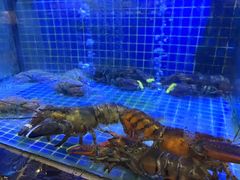 -绍兴中金豪庭大酒店·豪庭阁中餐厅