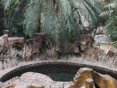 -龙达温泉生态城