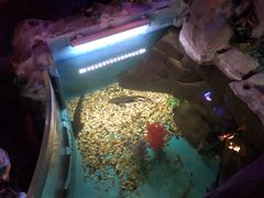 -苏州海洋馆