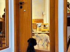 -有猫主题·治愈系猫咖(曾厝垵店)