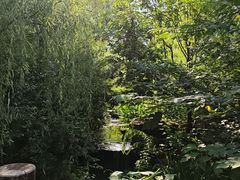 -习家池