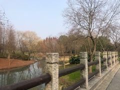 -尚贤河湿地