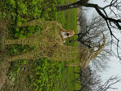 “羊群”-上海海湾国家森林公园