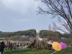 -苏州上方山国家森林公园
