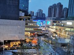 -花潮料理艺食馆(成都万象城店)