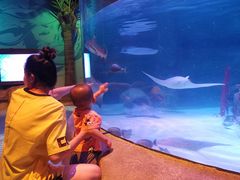 -沈阳海洋探索中心