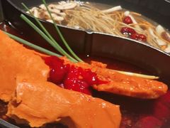 -园里火锅(仁和新城店)