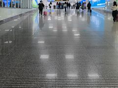 -郑州新郑国际机场-T2航站楼