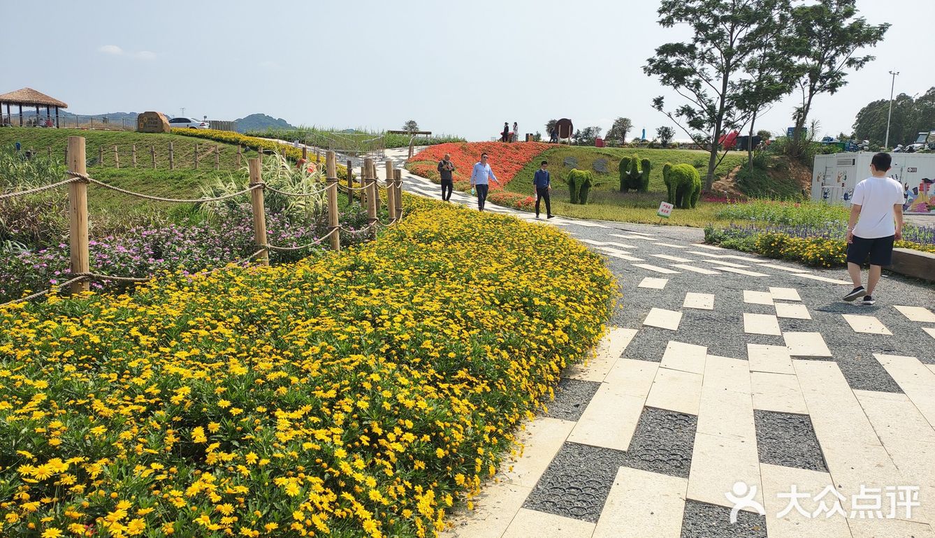 久違的好天氣最適合踏青了 大力推薦光明小鎮歡樂田園