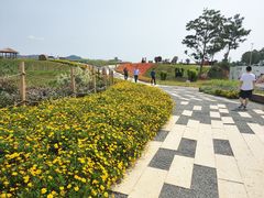 -光明小镇欢乐田园